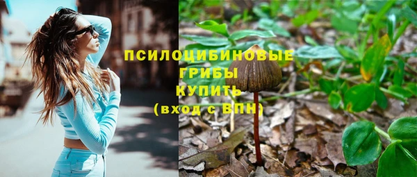 винт Осташков