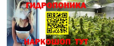 крисы Ирбит