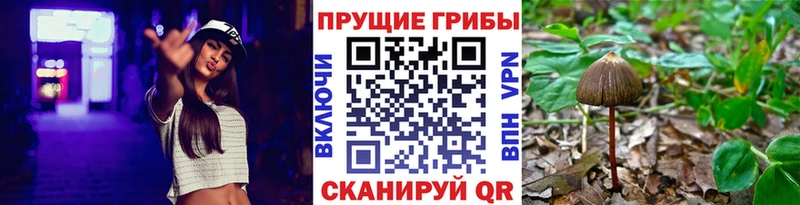 Галлюциногенные грибы ЛСД  Североуральск 