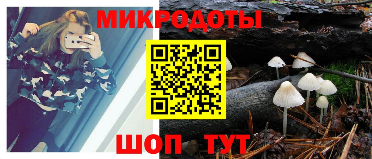 Псилоцибиновые грибы мухоморы Североуральск