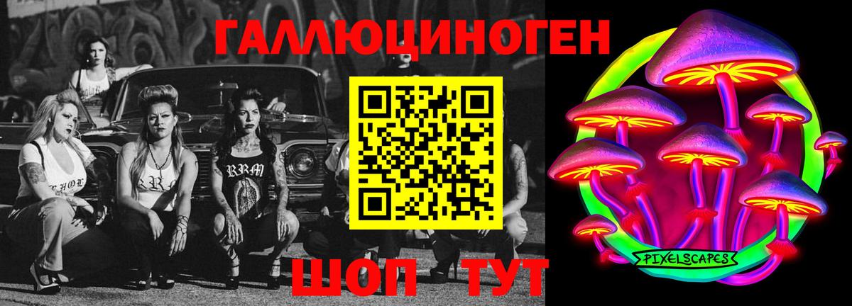 Галлюциногенные грибы Psilocybine cubensis Североуральск