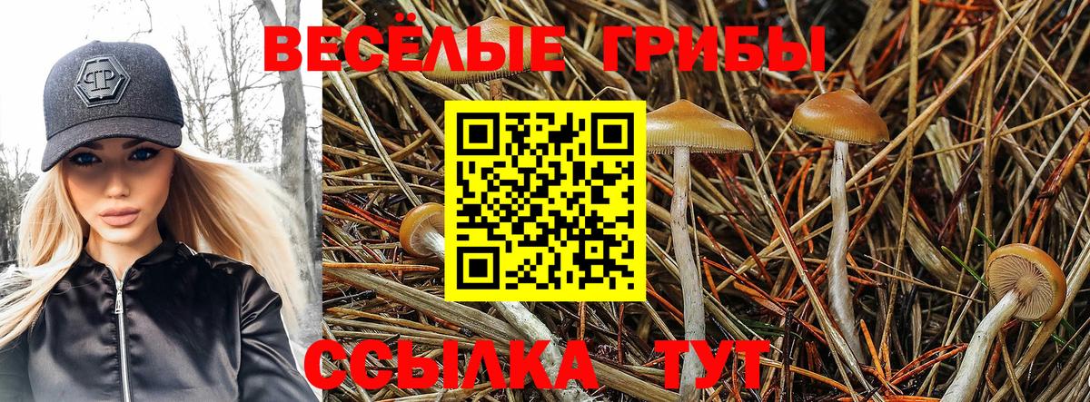 Псилоцибиновые грибы Magic Shrooms  Псилоцибиновые грибы GOLDEN TEACHER  Североуральск  Вход с VPN 